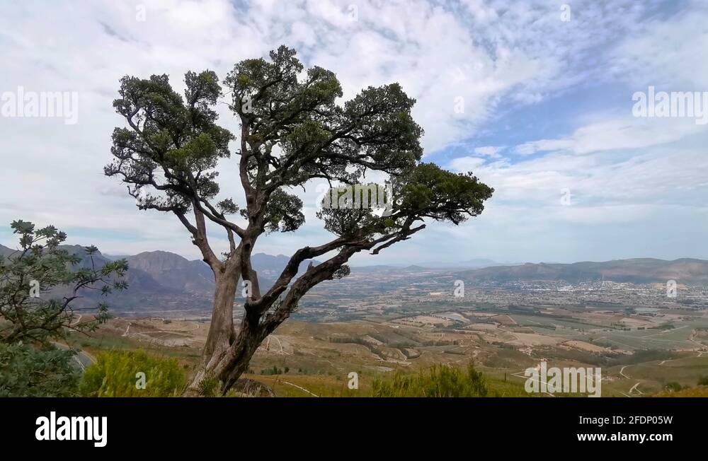Map Of Africa Wilderness Stock Videos Footage HD And 4K Video Clips Map Of Africa Wilderness Stock Videos Footage HD And 4K Video Clips
