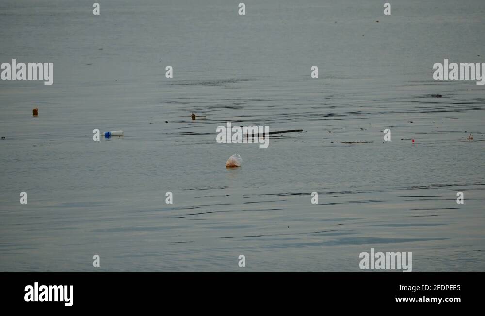 Drop rubbish Stock Videos & Footage HD and 4K Video Clips Alamy