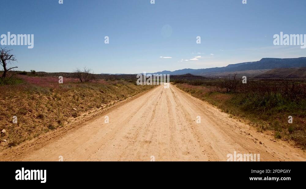 Wildflower hills Stock Videos & Footage HD and 4K Video Clips Alamy