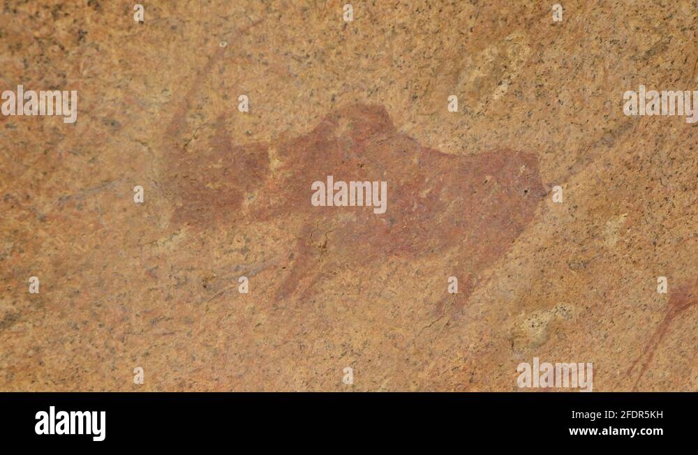 Animal formation Stock Videos & Footage - HD and 4K Video Clips - Alamy