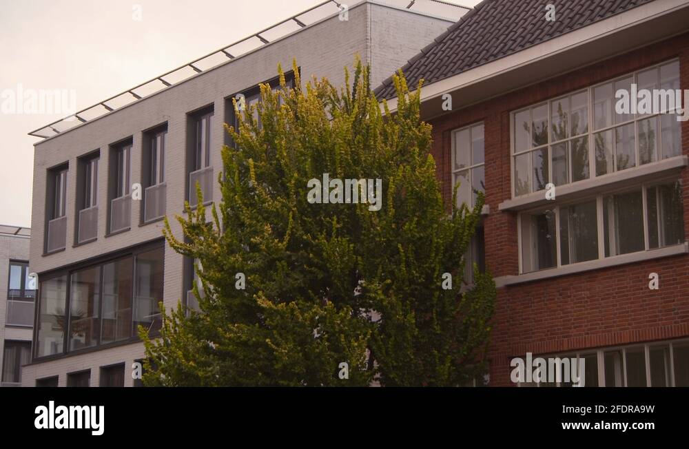 Breda house Stock Videos & Footage HD and 4K Video Clips Alamy