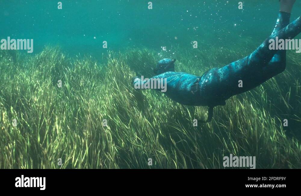 Amidst grass Stock Videos & Footage HD and 4K Video Clips Alamy