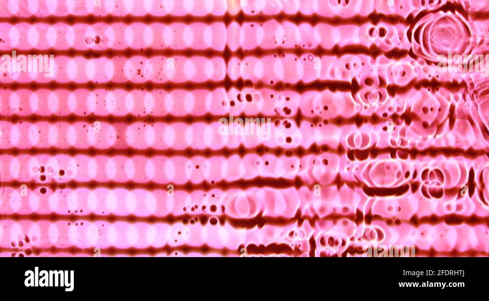 Liquid background similar to molecules or red blood cells merge and