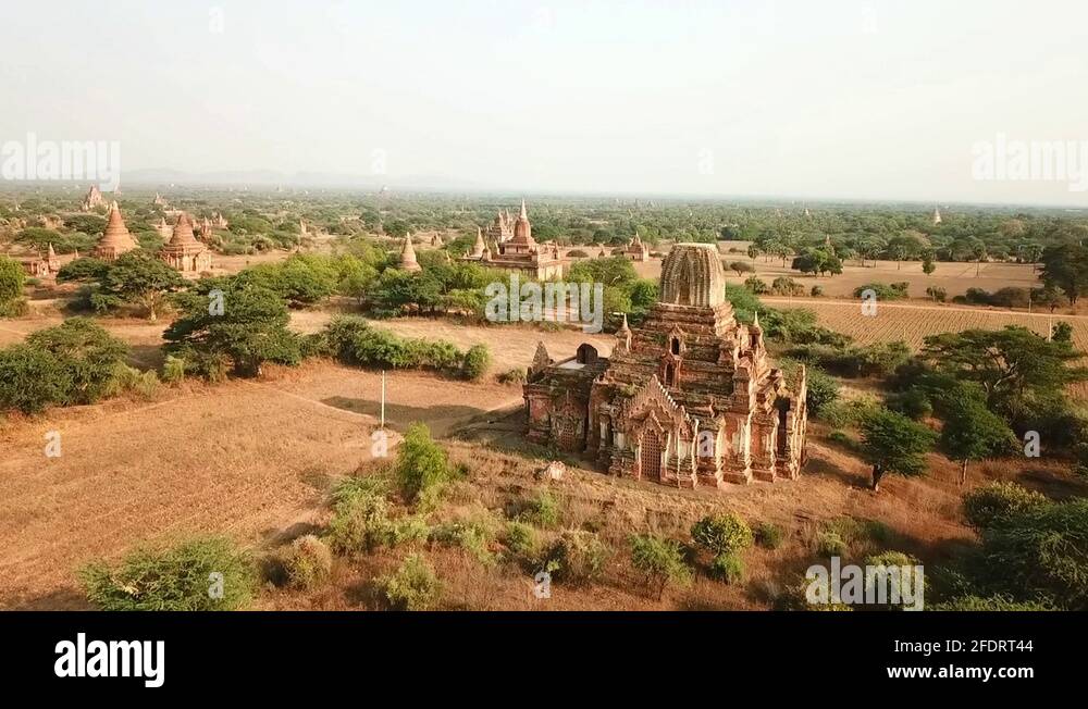 Trees and temples Stock Videos & Footage - HD and 4K Video Clips - Alamy