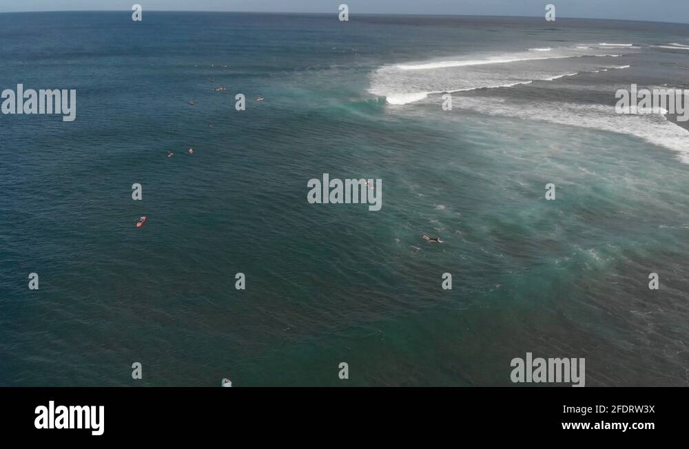 Aloha island Stock Videos & Footage - HD and 4K Video Clips - Alamy