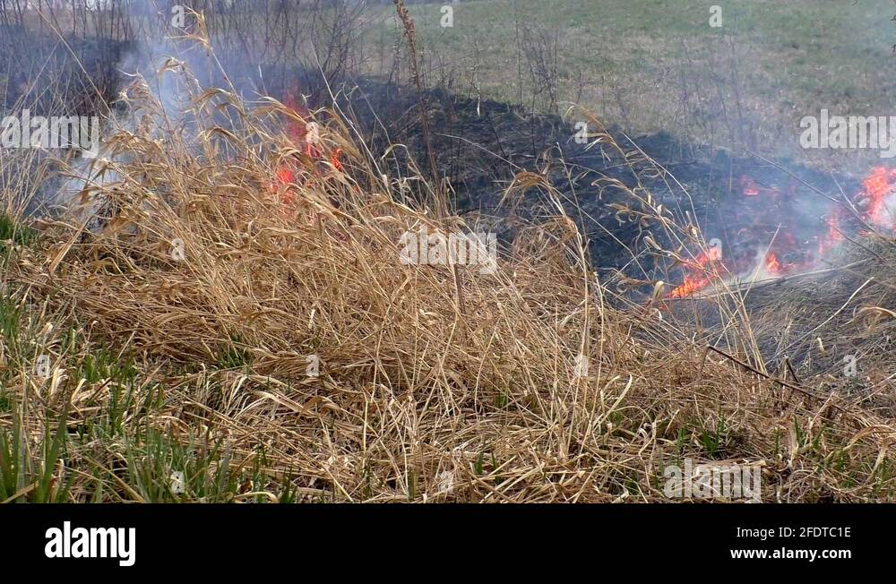 Spreading fire Stock Videos & Footage HD and 4K Video Clips Alamy