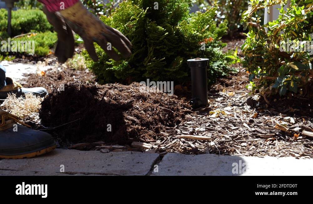 Mulch spreading garden Stock Videos & Footage HD and 4K Video Clips