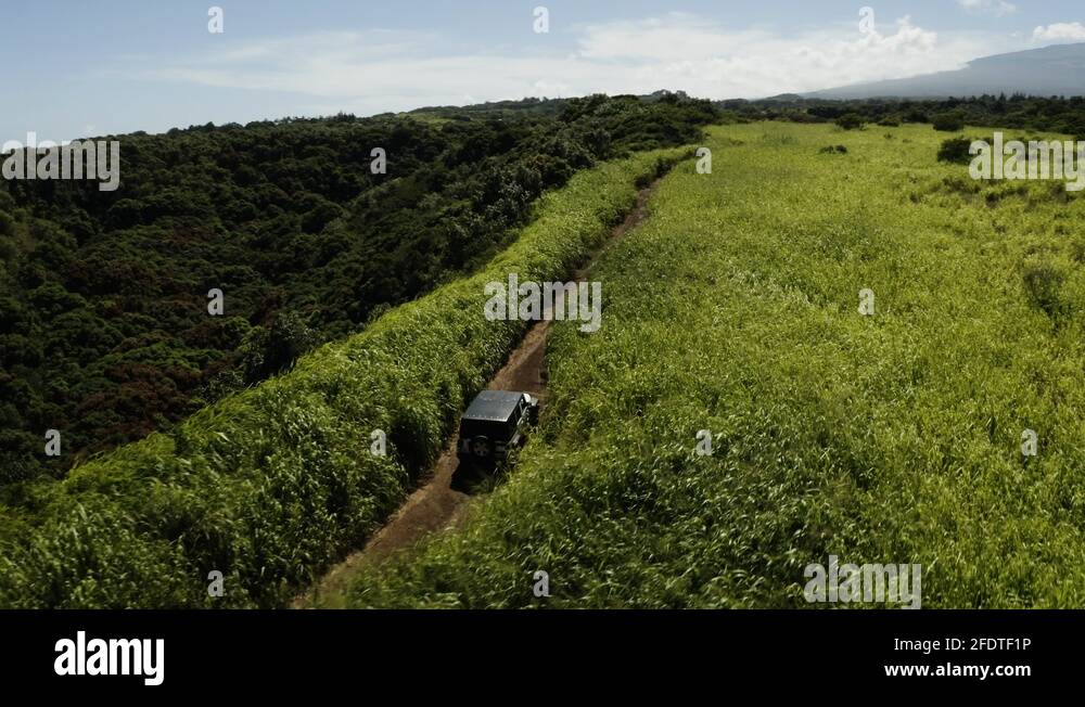 Mountain climbing hawaii Stock Videos & Footage HD and 4K Video Clips