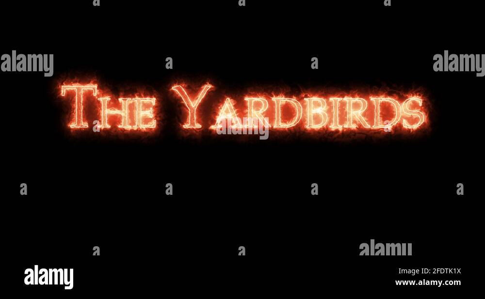 Yardbirds Stock Videos & Footage HD and 4K Video Clips Alamy