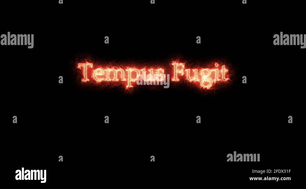 Tempus fugit Stock Videos & Footage HD and 4K Video Clips Alamy