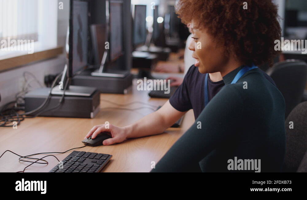 College students studying computer Stock Videos & Footage HD and 4K