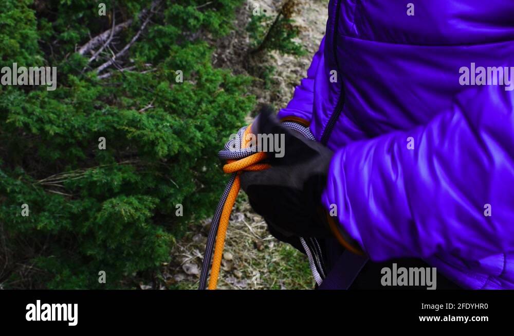 Climber hithing eightknot on double rope climbing system. Knot links