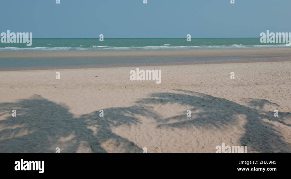 Tree palm beach pattern Stock Videos & Footage - HD and 4K Video Clips ...