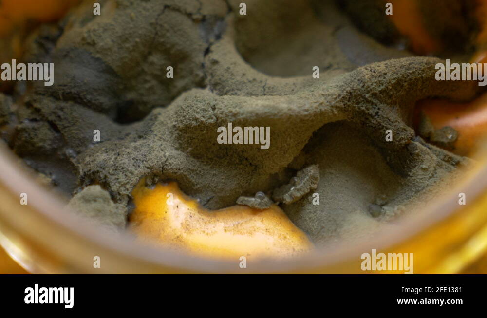 Expired form Stock Videos & Footage HD and 4K Video Clips Alamy