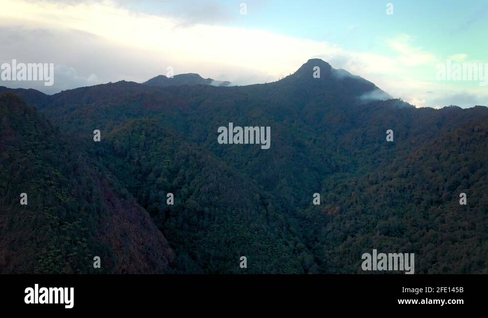 Coromandel Ranges Mountains and native bush of the coromandel ranges, New Zealand Stock ...
