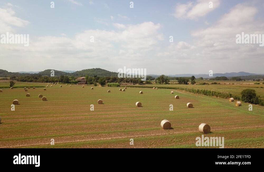 Reaped field Stock Videos & Footage - HD and 4K Video Clips - Alamy