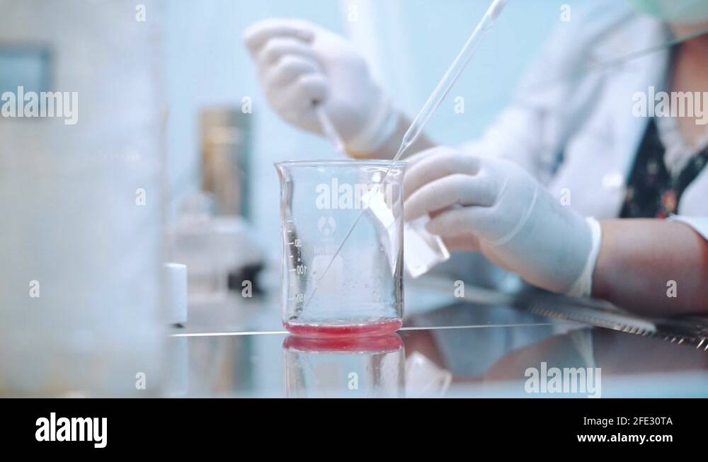 scientist using dropper pipette transfer sample in Biosafety cabinet ...