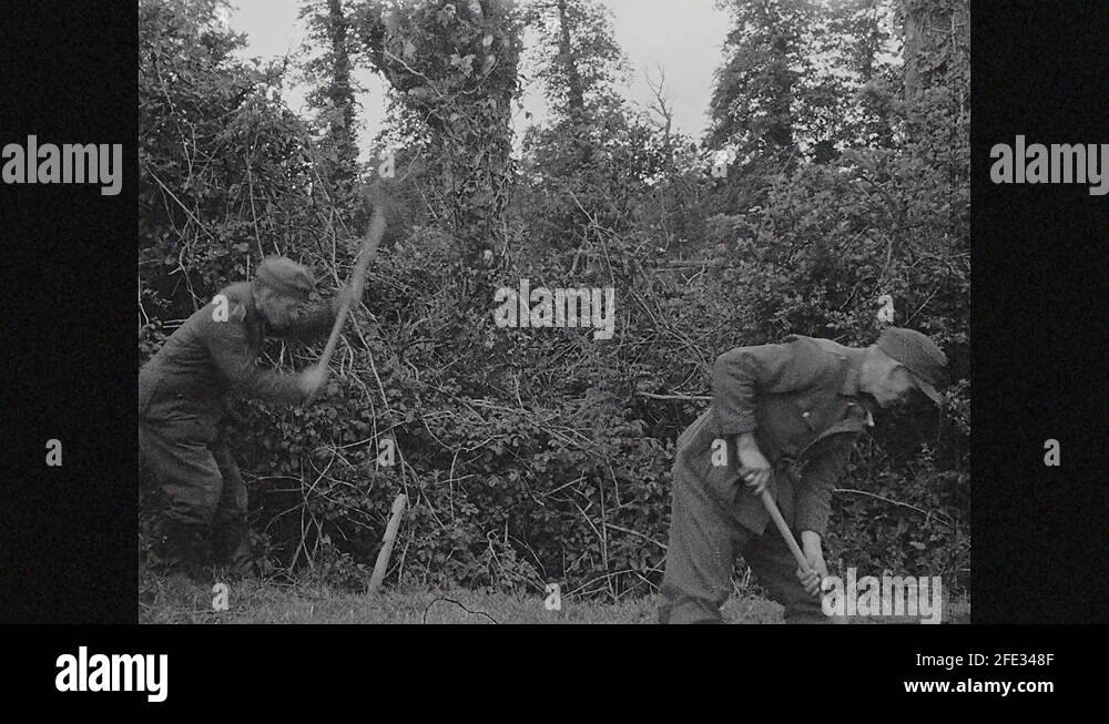 Camp sledgehammer Stock Videos & Footage HD and 4K Video Clips Alamy