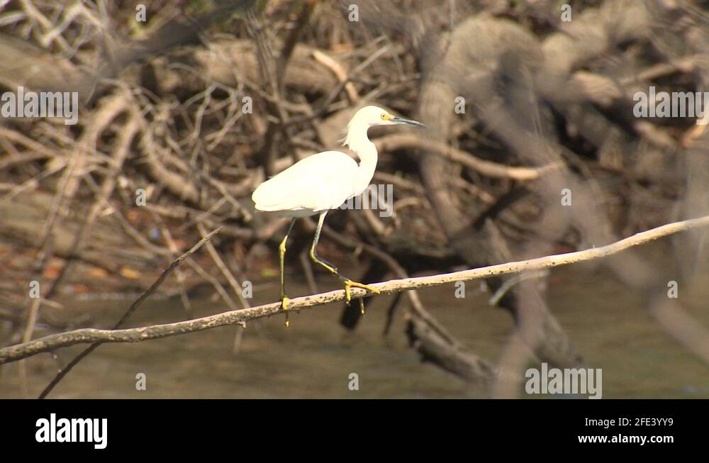 Tamarindo costa rica family Stock Videos & Footage HD and 4K Video