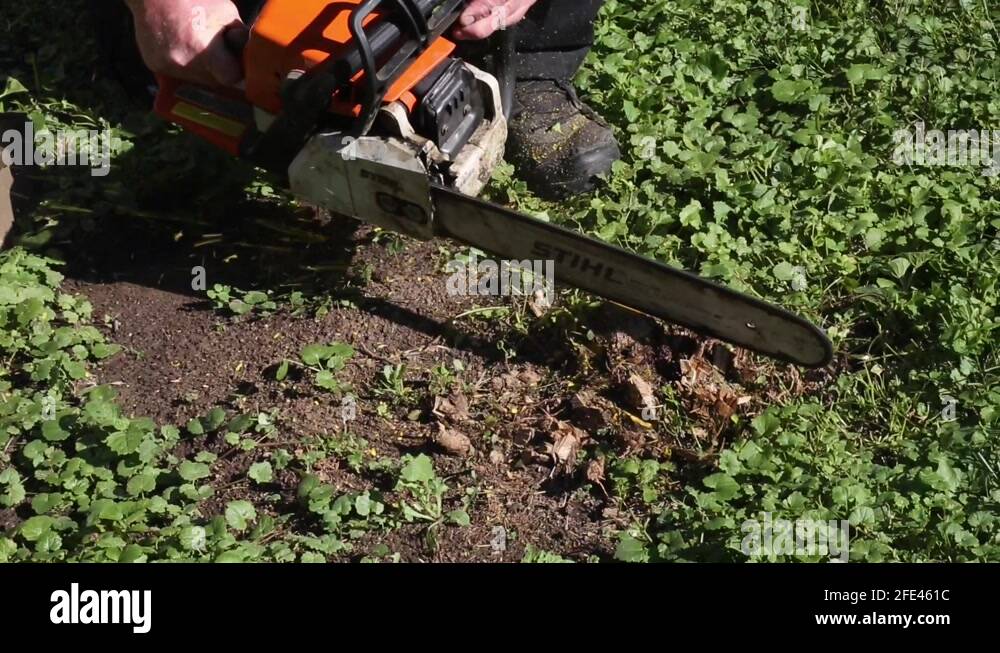 Man with chainsaw cutting tree root Stock Video Footage Alamy