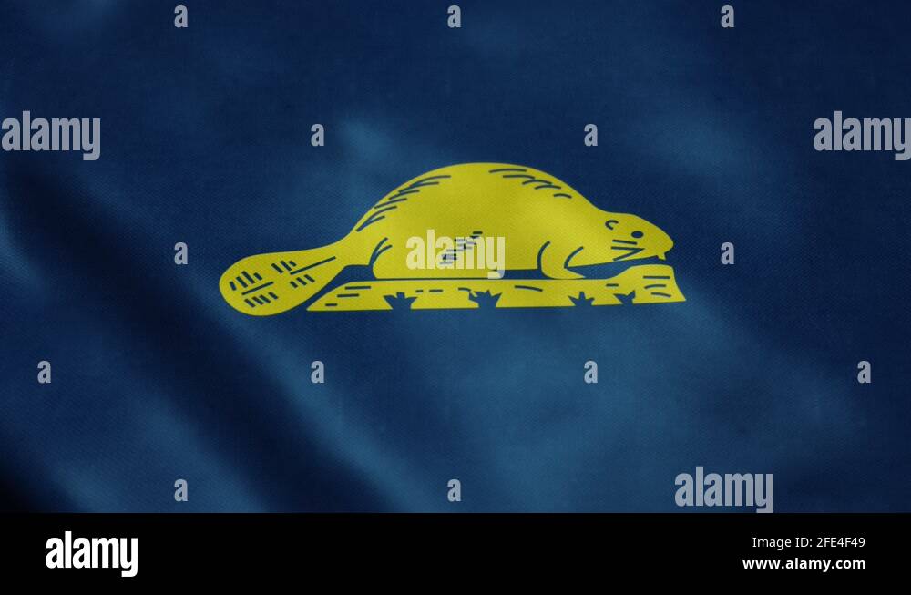 Reverse flag Stock Videos & Footage HD and 4K Video Clips Alamy