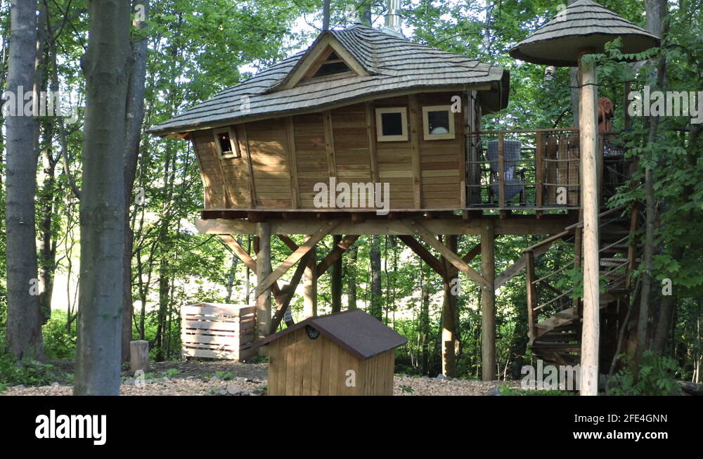 Dolly 4k shot of a luxurious wooden treehouse with a campsite in the