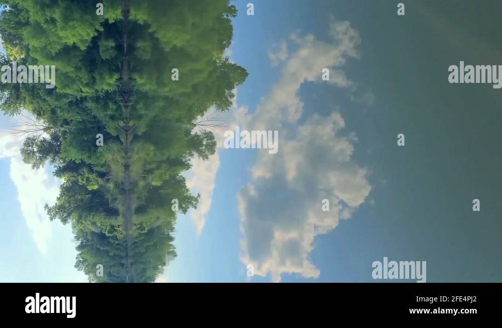 Warrior river water Stock Videos & Footage HD and 4K Video Clips Alamy