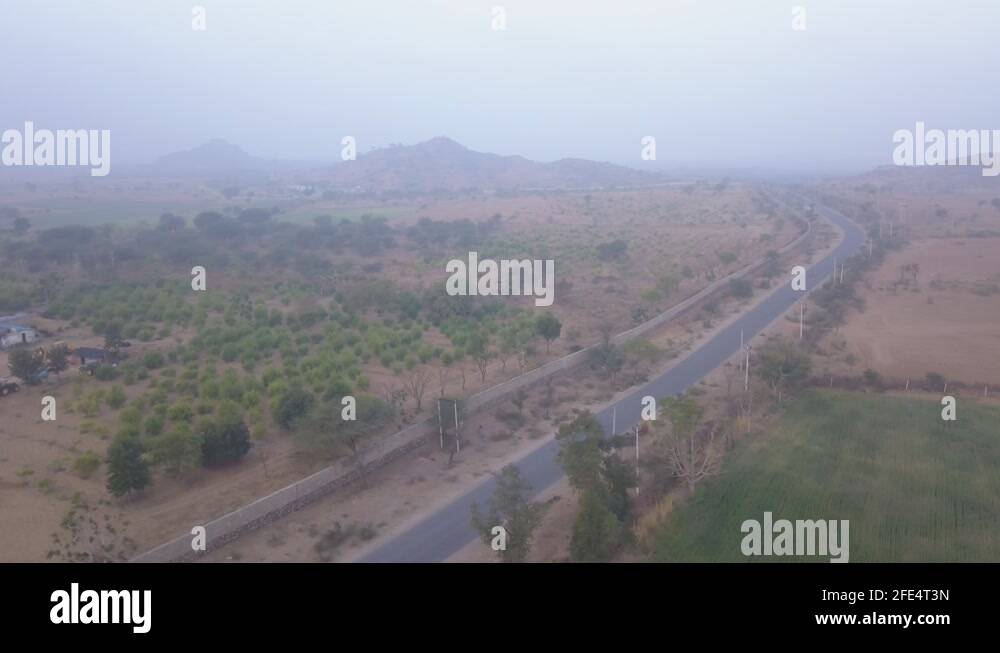 Plant plants rajasthan Stock Videos & Footage HD and 4K Video Clips