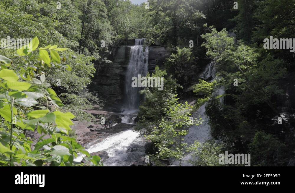Carolina forest south carolina Stock Videos & Footage HD and 4K Video