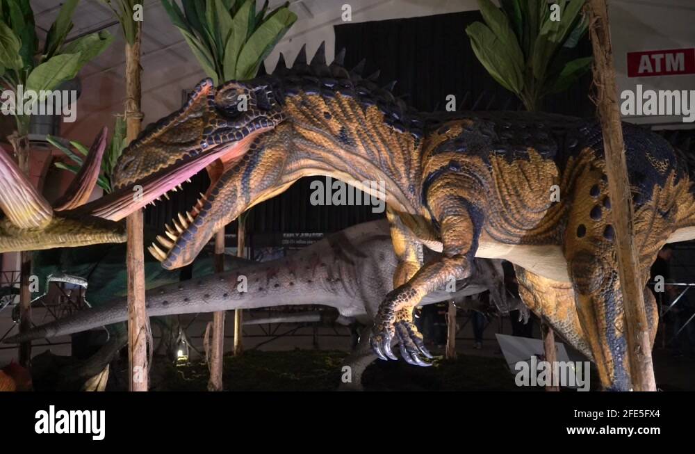 Meat eating dinosaur Stock Videos & Footage HD and 4K Video Clips Alamy