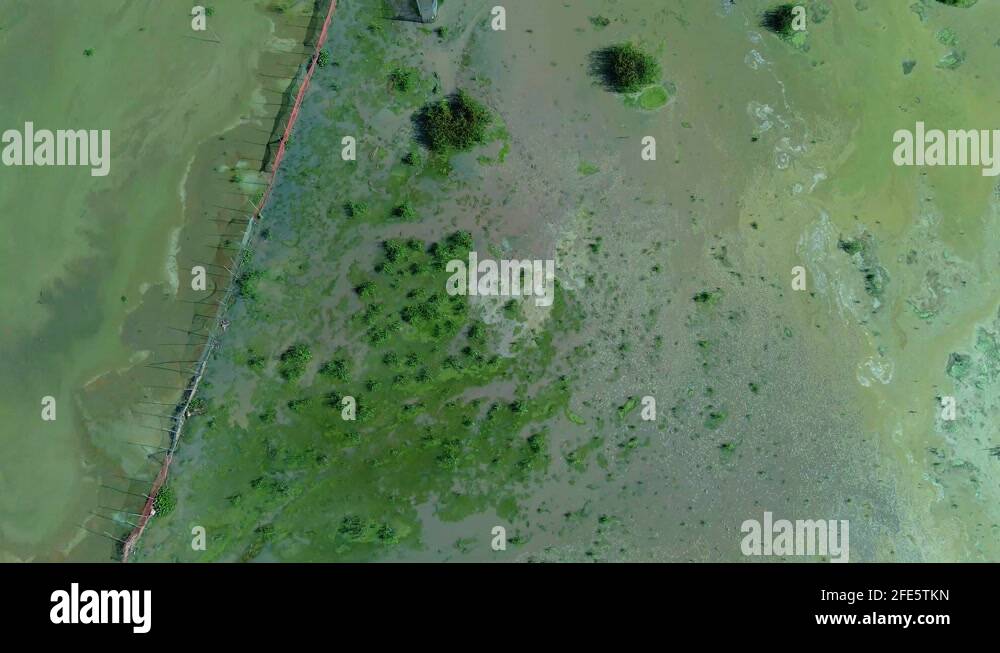 Arrow head Fish Trap and fisherman in boat Asia. Areal flyover with