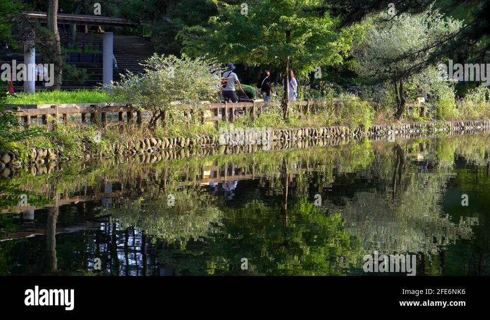 Many groups of people walk in the shakujii park in Tokyo, it is a place