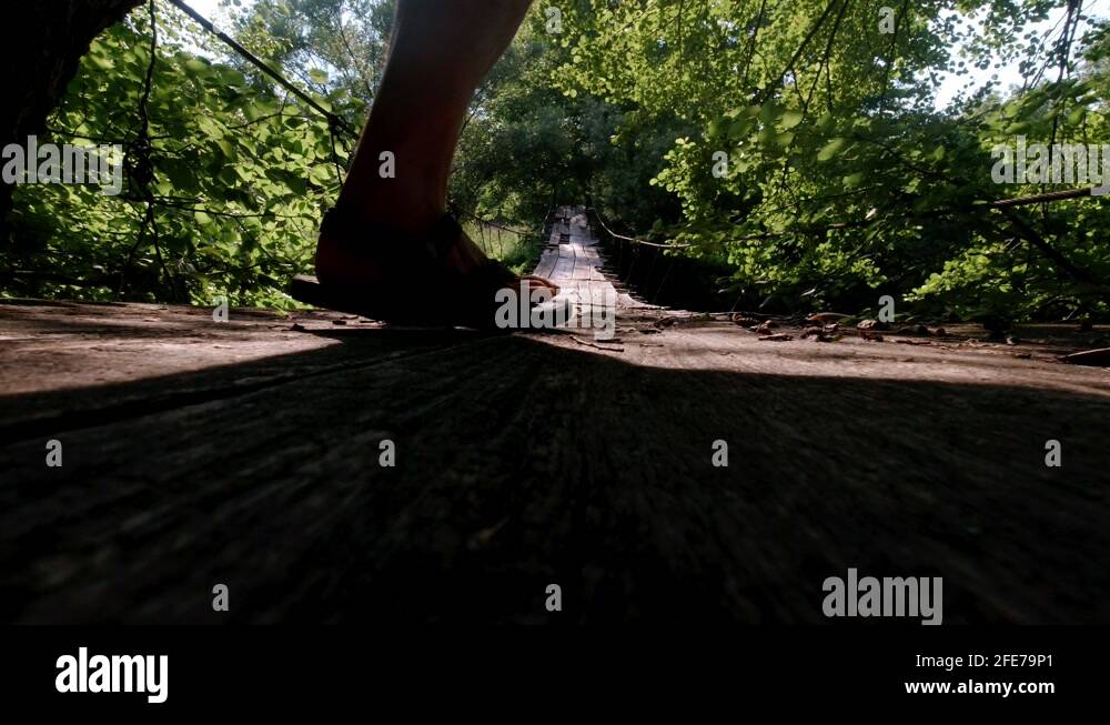 Rotten planks Stock Videos & Footage HD and 4K Video Clips Alamy