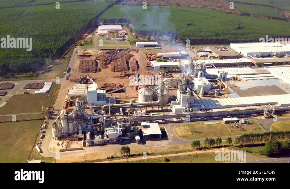 Lumber industry brazil Stock Videos & Footage HD and 4K Video Clips