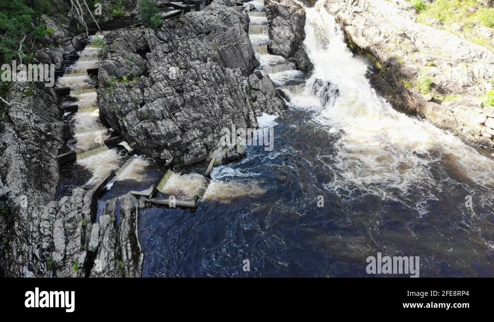Salmon fish ladder Stock Videos & Footage HD and 4K Video Clips Alamy