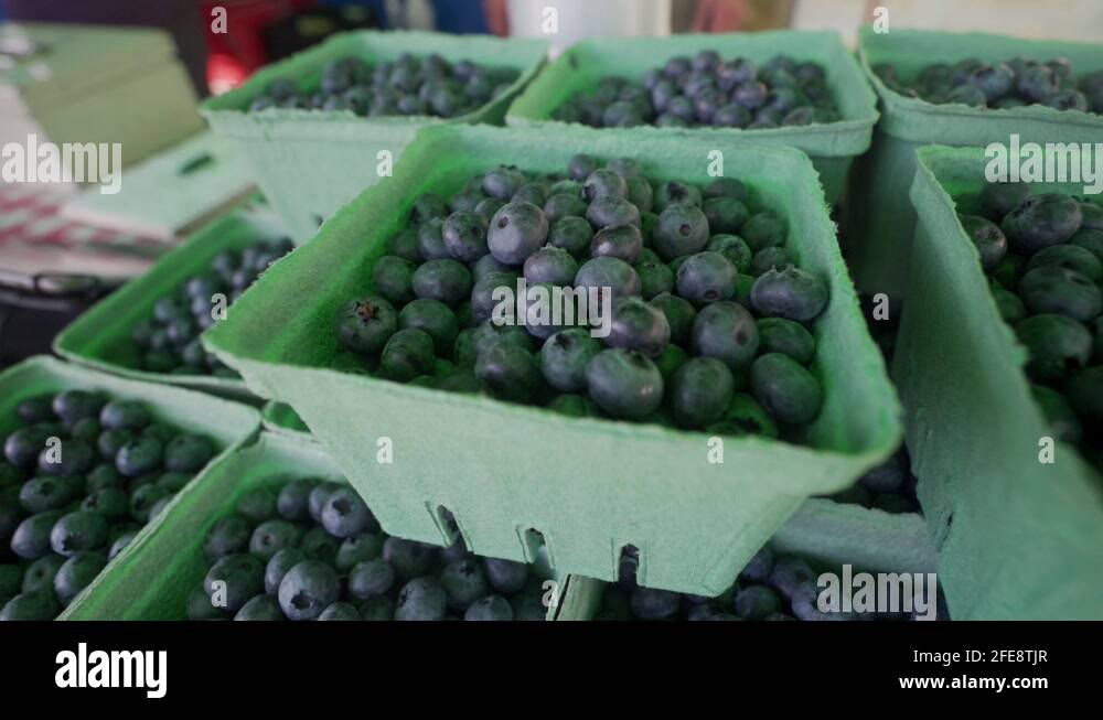 Vancouver island berry Stock Videos & Footage HD and 4K Video Clips