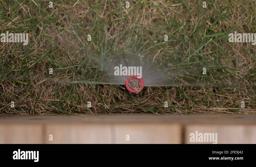 Underground Pop Up Sprinkler Spraying water on Lawn Stock Video Footage