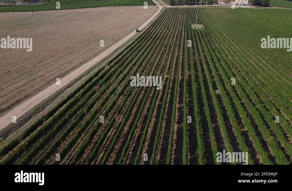 Agricultural italy Stock Videos & Footage HD and 4K Video Clips Alamy