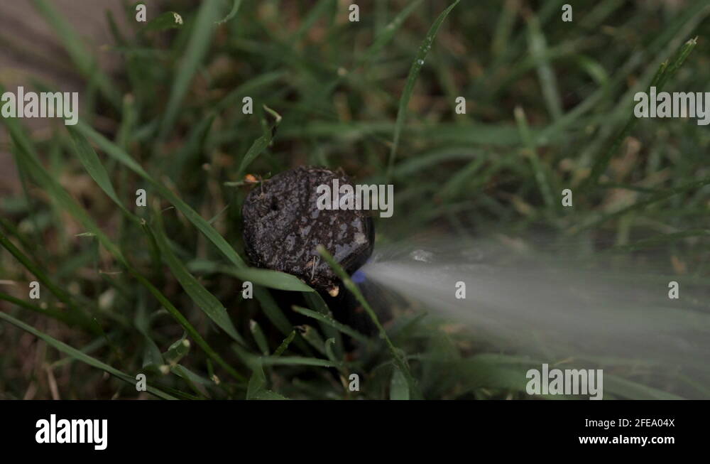 Adjusting Rainbird 3500 Rotor Gear Drive Sprinkler Head in Lawn Stock