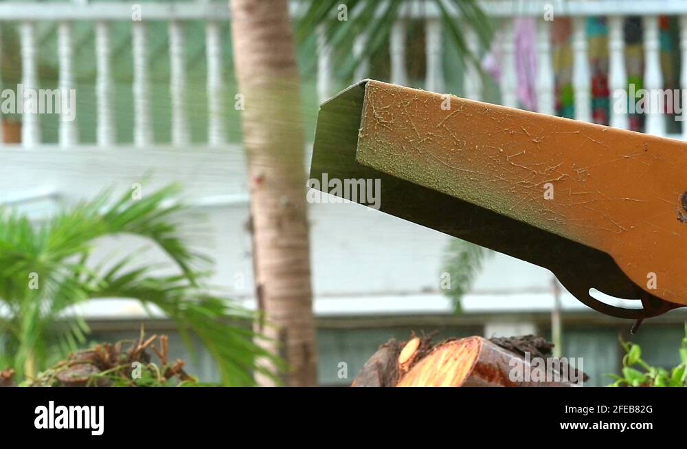 Tree wood branch recycling Stock Videos & Footage HD and 4K Video