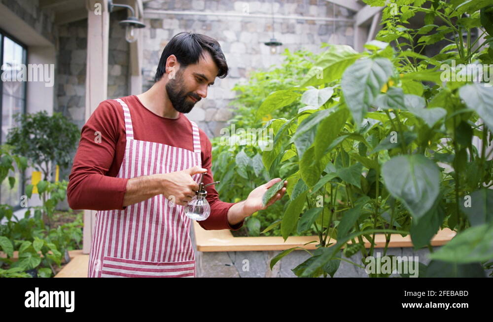 Plants standing in water Stock Videos & Footage HD and 4K Video Clips Alamy