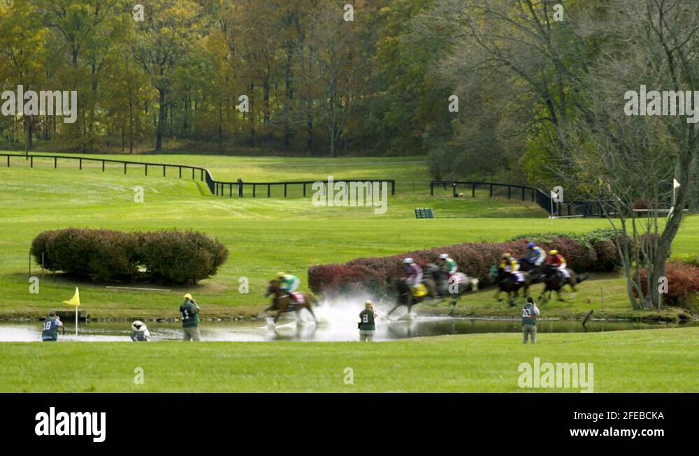 Horse in water racing Stock Videos & Footage - HD and 4K Video Clips ...