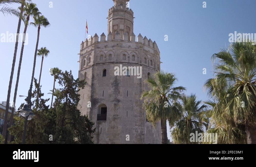 Palm trees seville spain Stock Videos & Footage HD and 4K Video Clips