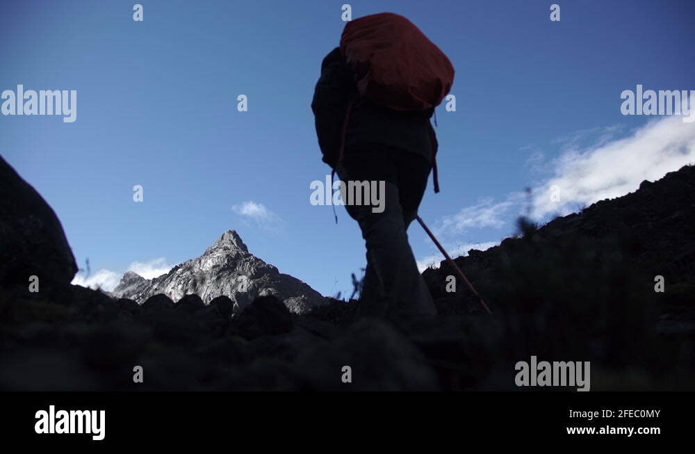 A Group of Climbers Hike Mount Carstensz (Jayawijaya) || Tropical ...