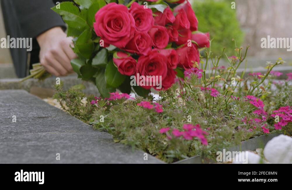 Putting flowers on grave Stock Videos & Footage HD and 4K Video Clips