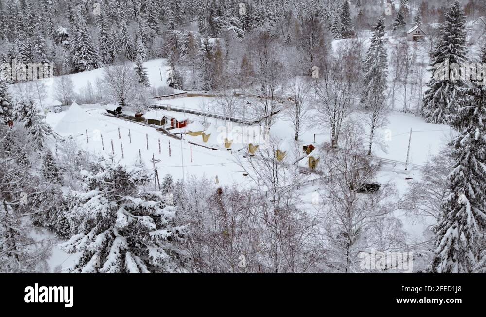 Kalevala Stock Videos & Footage - HD and 4K Video Clips - Alamy