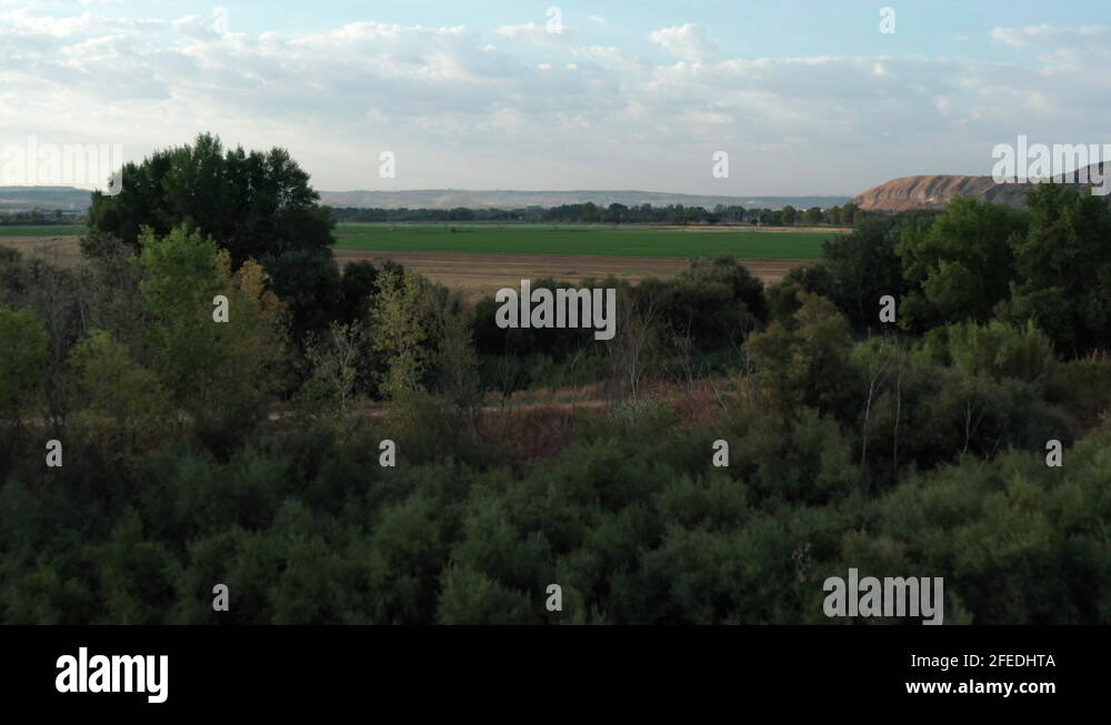 Agricultural european Stock Videos & Footage - HD and 4K Video Clips ...