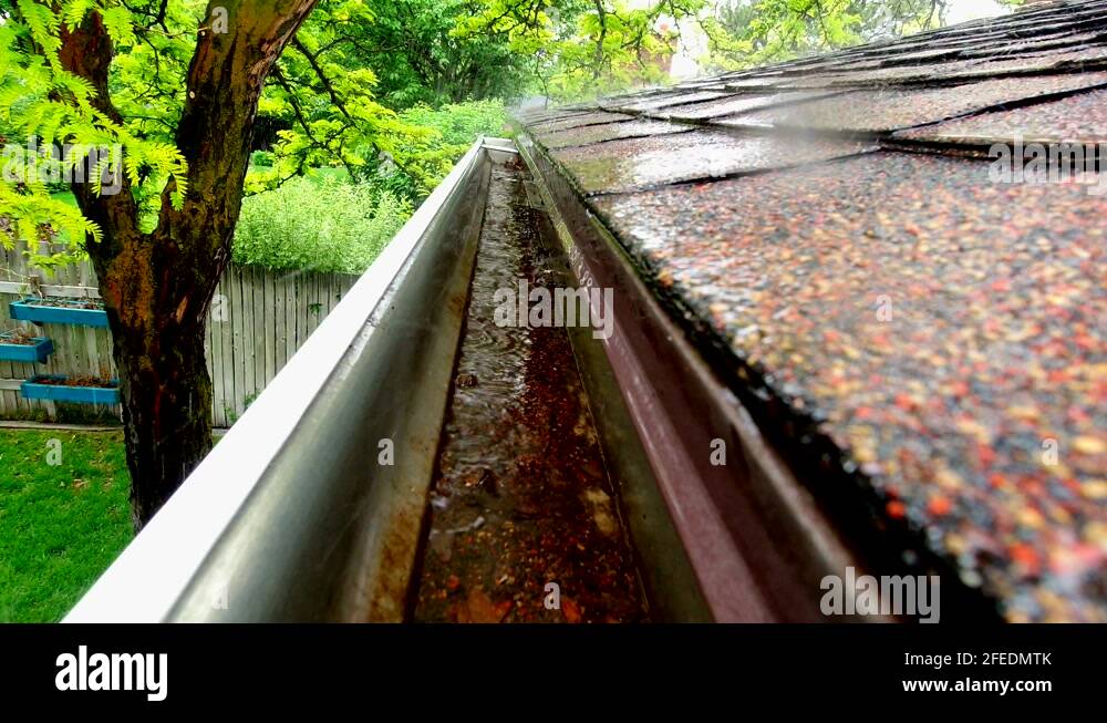 Rain water is seen falling on a roof and rain gutter. A green yard with