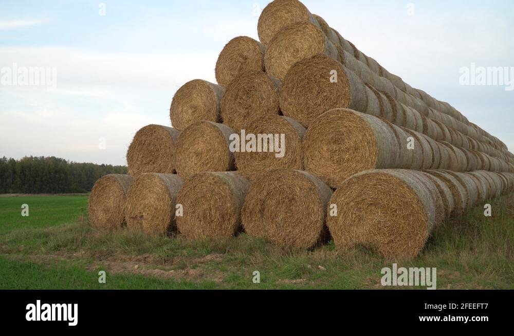 Large straw bales Stock Videos & Footage HD and 4K Video Clips Alamy