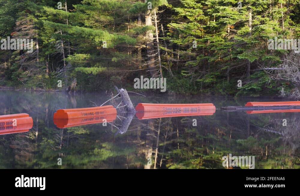 Algonquin landscape Stock Videos & Footage HD and 4K Video Clips Alamy